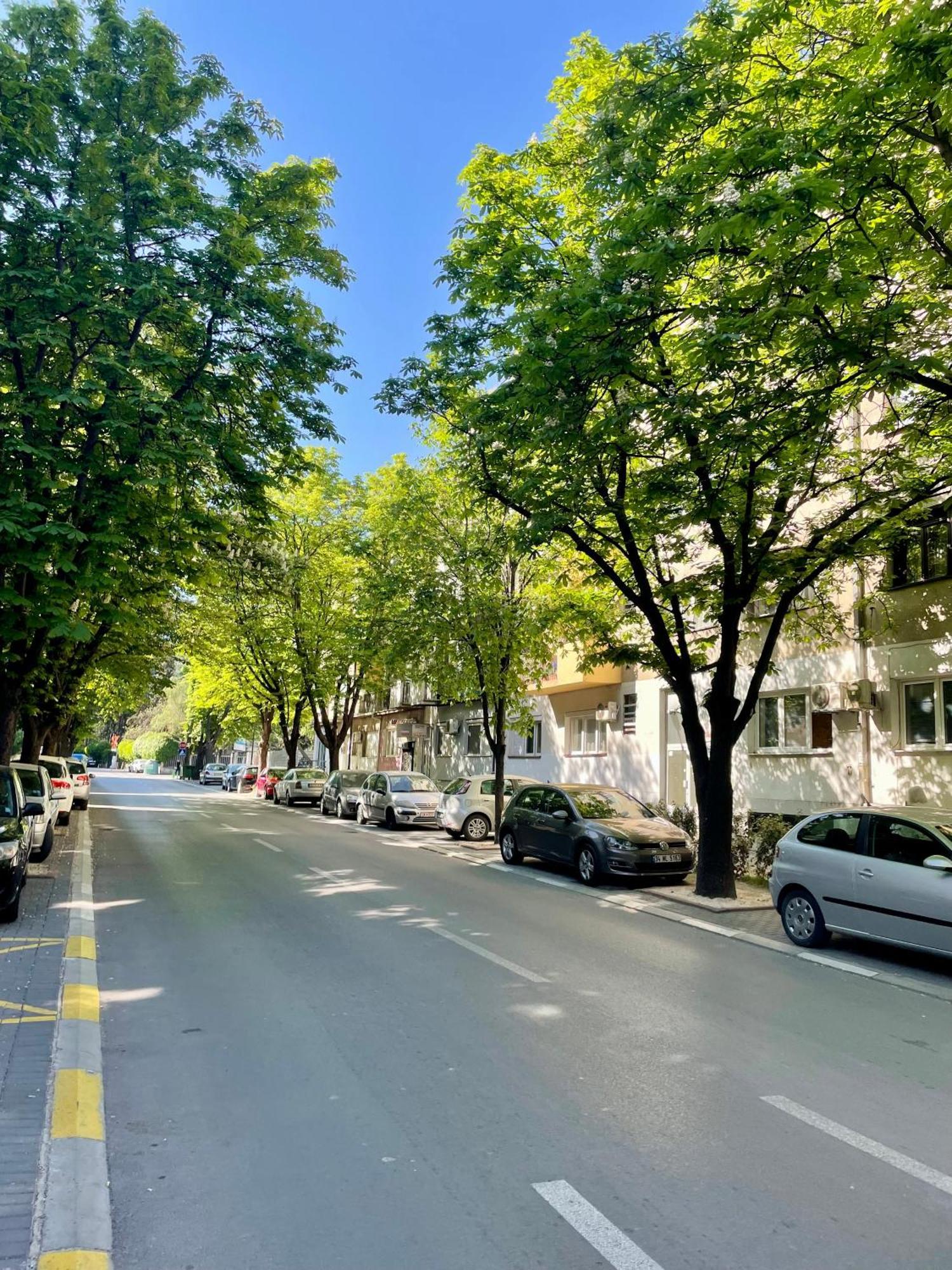 Luxury City Center Apartment Skopje Exterior photo